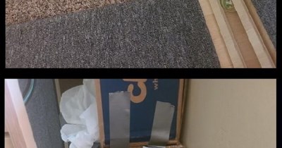 Maru never met a box he didn't like, don'tcha know