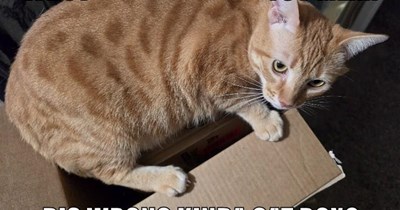 Every box is the right box