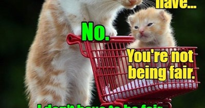 Dad Jokes from Mom