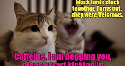 It's too early for this.