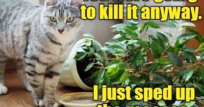 They don't call you Brownthumb for nothing.