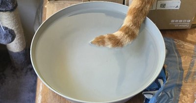 STIRRED, NOT SHAKEN