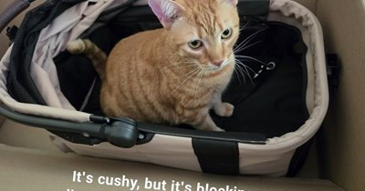Box conundrum
