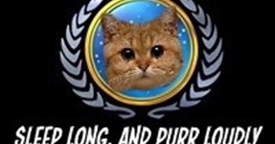 The United Cat Federation