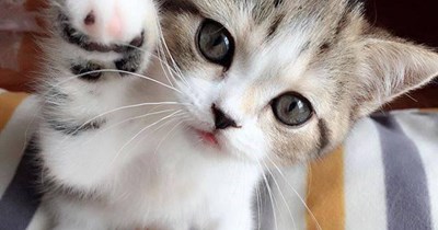 No more photos