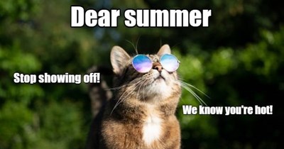 Dear Summer