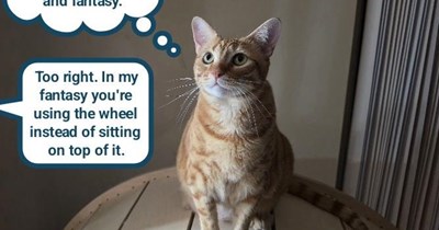She wheely got me