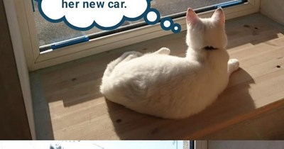 Don't rely on neighpurrhood watch