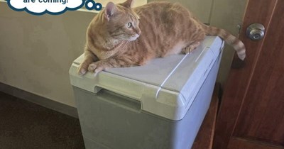 This guard duty is stressful