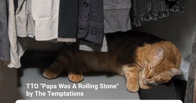 TTO "Papa Was A Rolling Stone" by The Temptations