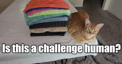 Challenge
