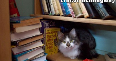 There is no friend as loyal as a book