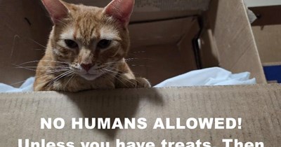 NO HUMANS ALLOWED!