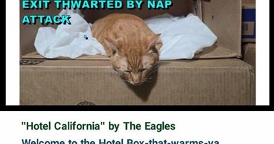 "Hotel California" by The Eagles