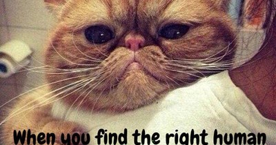 found mine
