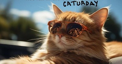 Caturday