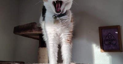 Disturb me no more!