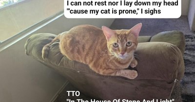 TTO "In The House Of Stone And Light" by Martin Page