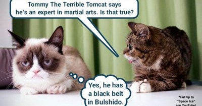 Is Tommy Tomcat really terrible?