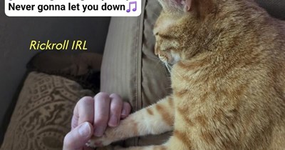 Rickroll IRL