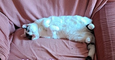 Will he offer me his nip?