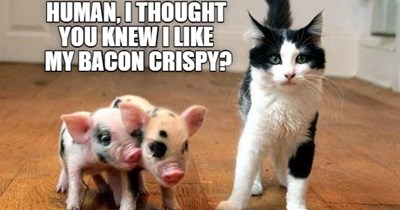 Mmmmm yummy