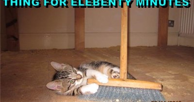 Feel Sweepy