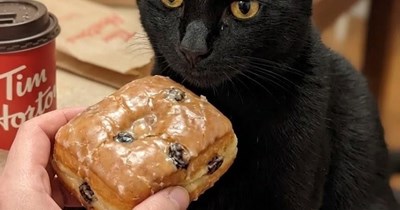 Nom