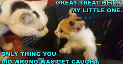 Treat Heist