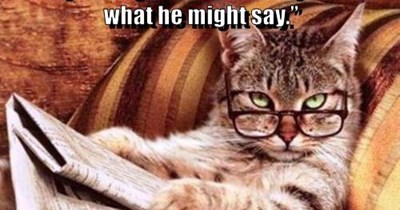 Smort kitty at it again