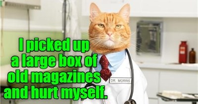 A diagnosis from Dr. Tinykatz