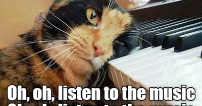 Listen to the Music