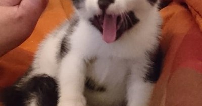 Pewww