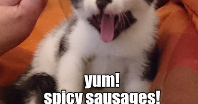 spicy sausages!