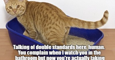 Double standards