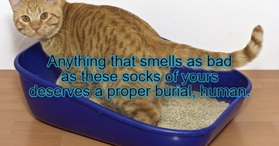 Smelly Socks Graveyard