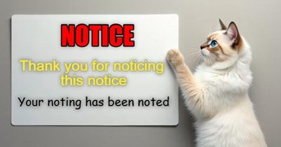 Thank you for the notice
