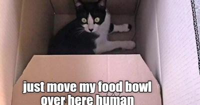 Inside the box