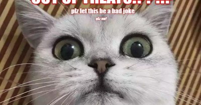 Out of treats?!