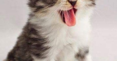 Come on sweetie, open wide