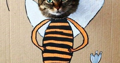 Hive always liked making bee puns.