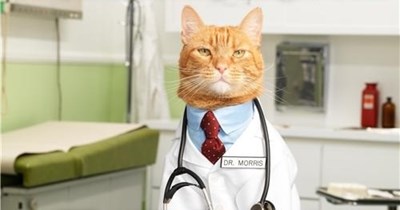 Dr. Tinykatz hates patients like this.