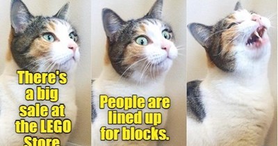 Joke Cat shouldn't quit his day job.