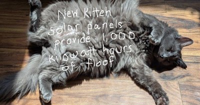 New Kitteh Solar Panels