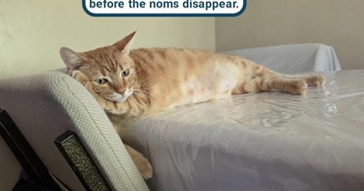 Why didn't my nose wake me up?