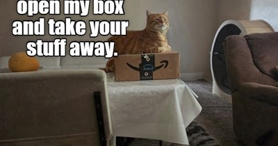 Hurry up human
