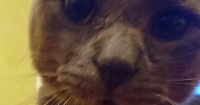 YOU'RE AVAILABLE TO FEED ME.