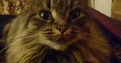 WHAT DID YOU SAY?!