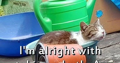 As long as there's no water