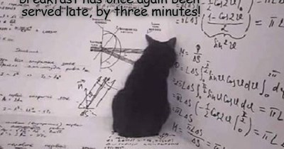 Three whole minutes!